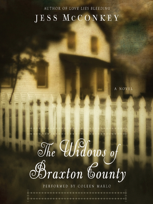 Cover image for The Widows of Braxton County